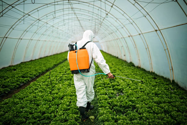Best Affordable Pest Control Services  in Manor, PA