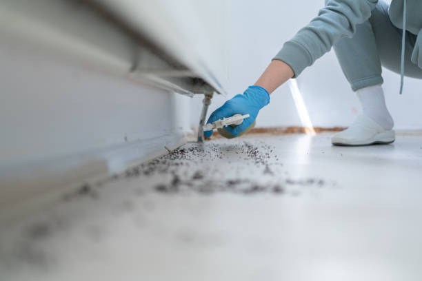 Best Mosquito Control Services  in Manor, PA